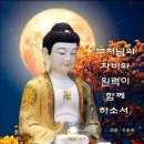 수림사