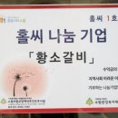스퀘어월드 이미지