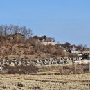 연천 숭의전지 이미지