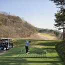 더파인캐슬 | 여주 골프장 캐슬파인cc 후기 백돌이와 함께 라운드