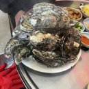 [봉천동 포차맛집] 통영산 굴찜, 해물탕 2차 맛집 '세월마차' 내돈내산 솔직후기
