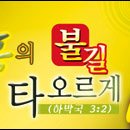 다압축산 Daum카페