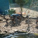 원앙농장 이미지