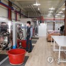 은세탁소 이미지