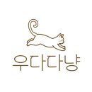 고양이미용 우다다냥 이미지