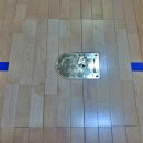 소담고등학교 이미지