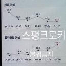 제이시스템 이미지
