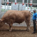 창영농장 이미지