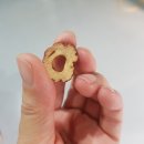대추지예