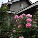 산속의정원 이미지