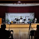 진안 메타세쿼이아길 이미지