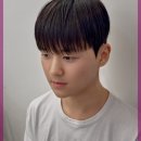 로이드밤헤어 이미지