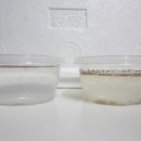 초간단 브라인쉬림프(Brine Shrimp) 부화방법 공유합니다. ^^ 이미지