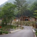 영월군시설관리공단 화장실 이미지