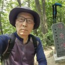 낙동정맥트레일(4코스-수구당 탐방길) | 자도봉어