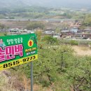 청솔펜션민박 이미지