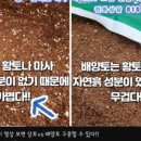 장훈농장 이미지