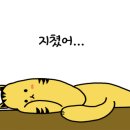 #코인노래연습장 이미지