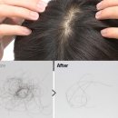 카이스트 | 그래비티 카이스트 특허 탈모샴푸 후기와 효과 궁금하다면?