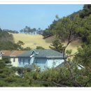 전원향기 이미지