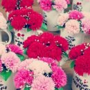 토요캘리그라피 이미지