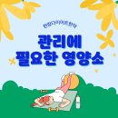 미량한의원 | 한방다이어트 한약 관리에 필요한 영양소에 대해서