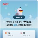 코테스 이미지
