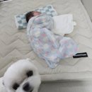마임(인천신기지사) | 도담도담산후도우미 인천북부지사 3주 솔직 후기! 산후도우미정부지원 업체 선정 팁과 인천산후도우미...