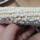 전자담배백화점 네이버블로그
