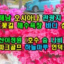 마루의꽃정원