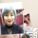 판도라의 상자 이미지