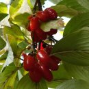 권선3공원 이미지