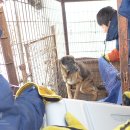 손의개농장 이미지