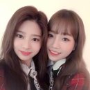 부비부비
