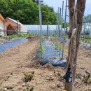 고성 탑 글램핑 농원 | 강원도 고성군 고성탑글램핑 농원, 가격, 연락처, 영업시간