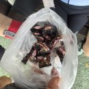 9월4일 망우역사문화공원 사진~ 이미지