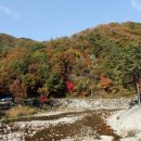 나라농원 이미지