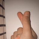 샐가 이미지