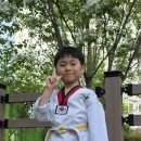 새샘태권도 이미지