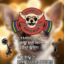 바벨브리게이드