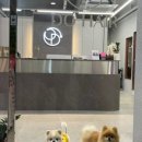 디오헤어# 이미지