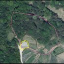 카카오 김범수 선영 이미지