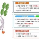 서대사 - 1396 | 서대사