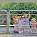 고양시립푸른솔어린이집 이미지