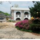 숲속연세유치원 이미지