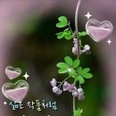 ♤상전벽해♧ 이미지