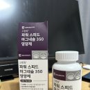 마그네슘영양제추천 대웅생명과학 파워 스피드 마그네슘 350 영양제 144g 120정 후기