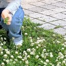 신중로13번길 이미지