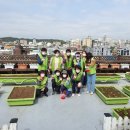 해뜰농장 이미지