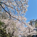 경기도 수원시 권선구 권중로 171 | 권선 중앙공원 산책